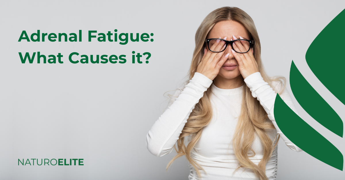 Adrenal Fatigue: What Causes it?