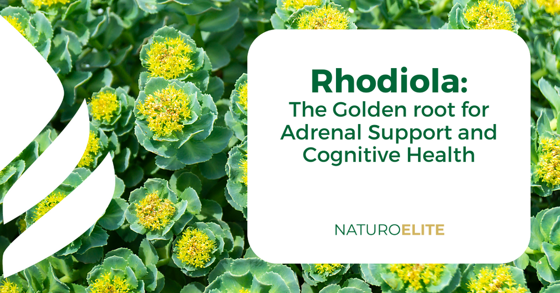 Rhodiola: The Golden root for Adrenal Support and Cognitive Health