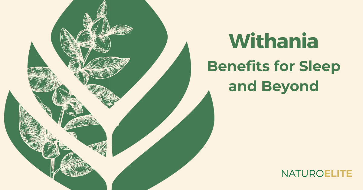 Withania: Benefits for Sleep and Beyond