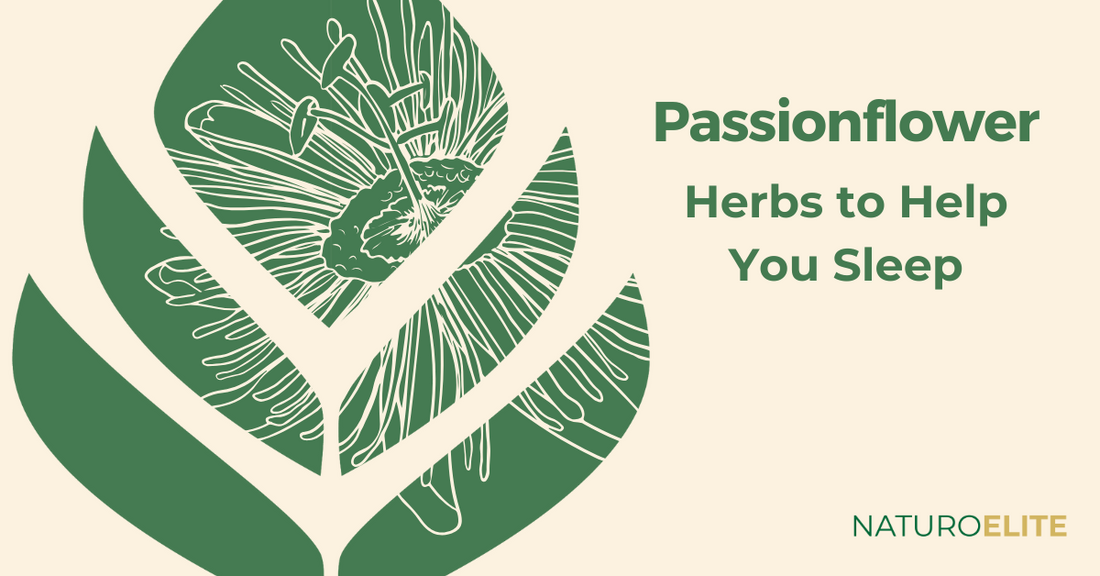 Passionflower: Herbs to Help You Sleep