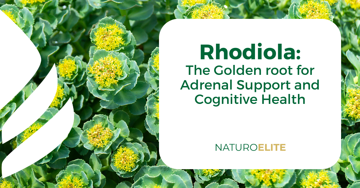 Rhodiola: The Golden root for Adrenal Support and Cognitive Health ...