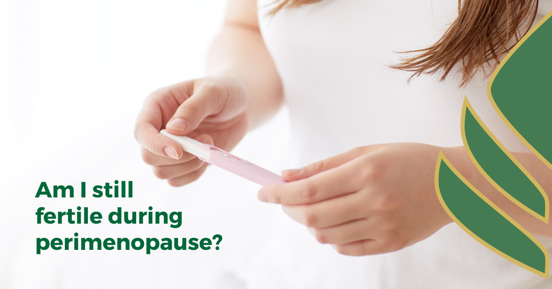 fertility during perimenopause