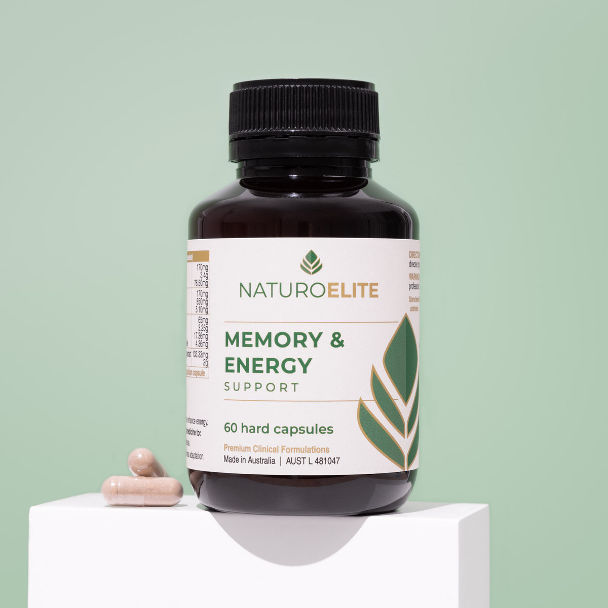 Memory Energy Support